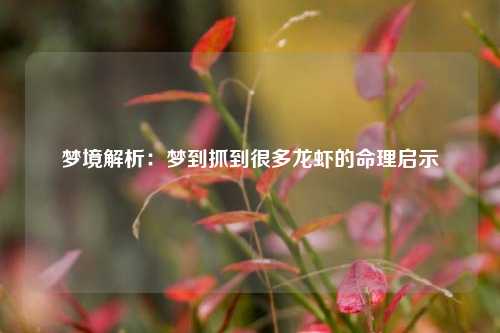 梦境解析:梦到抓到很多龙虾的命理启示